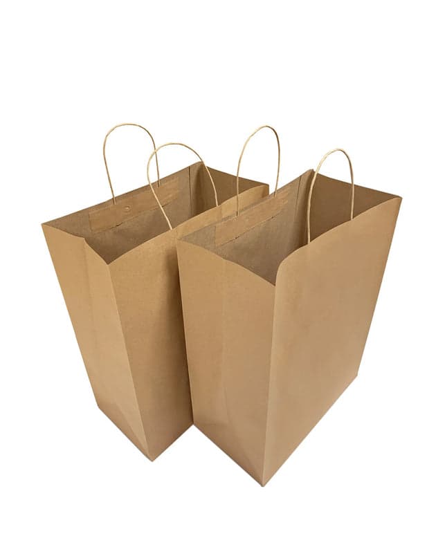Medium Kraft Paper Bag with Twisted Handles 10" x 6" x 13" | 250 Pcs - Image 2